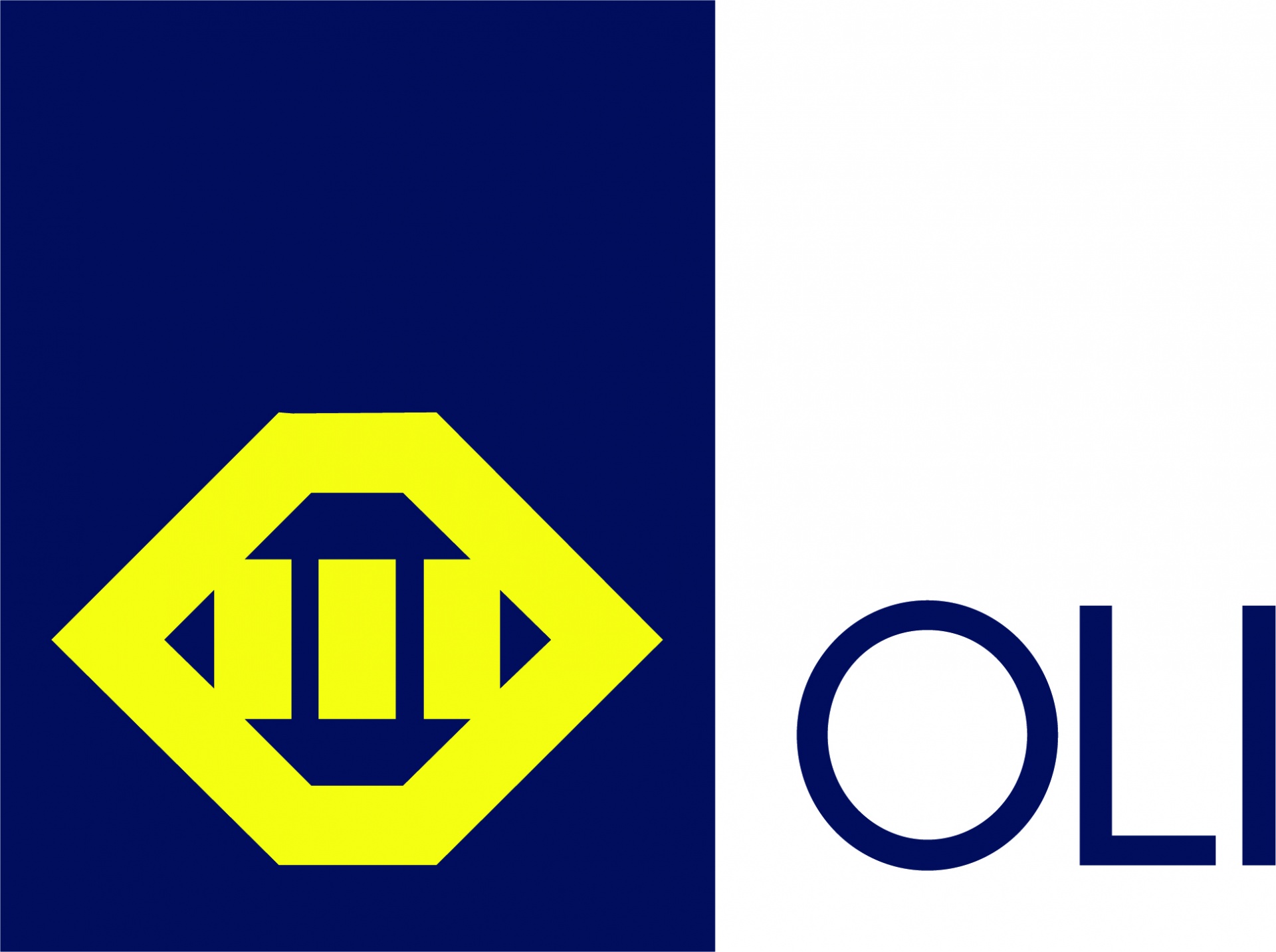 Oli Vibtrator Motors