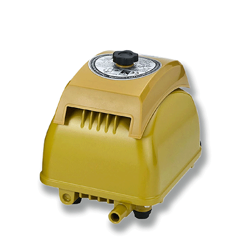 Shift Air Pump